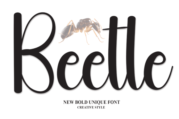 Beetle: The Handwritten Typeface That Transforms Small Business Branding